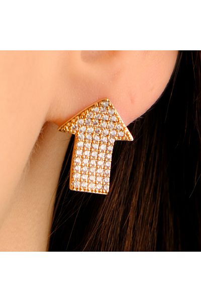 Lekka Design Arrow Sign Stoned Women's Earrings - Non-Tarnish Steel Design
