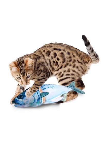 Afp Squeaky Fish with Catnip