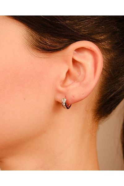 Lekka Design Women's Non-Tarnish Steel Jewelry Hoop Luxury Earrings with Zircon Stone