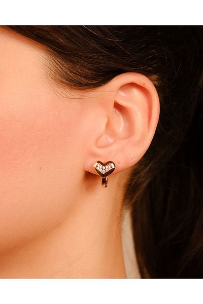 Lekka Design Women's Jewelry Non-Tarnish Steel Luxury Heart Earrings