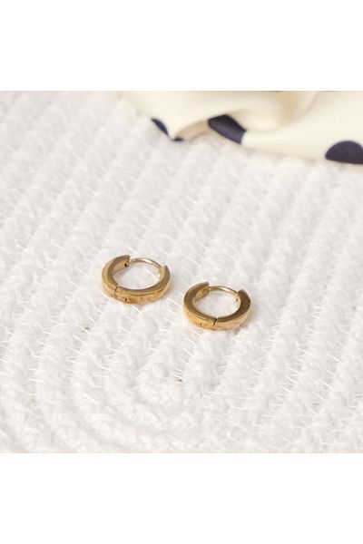Lekka Design VIP Series Steel Women's Small Hoop Rose Earrings