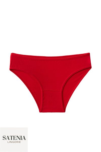 SATENIA LINGERIE New Year's Cotton Bikini Panties - 4 Pack Women's Casual Design