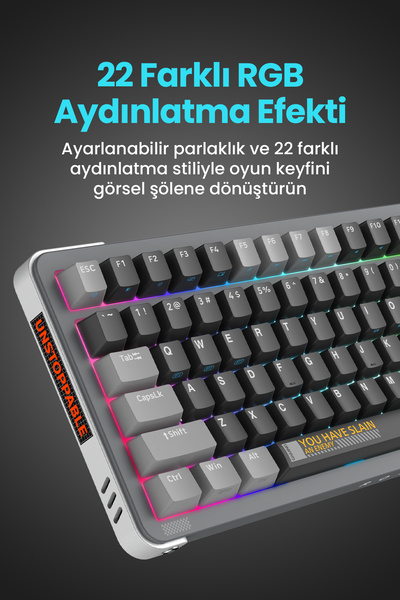 ROYALAXE Y98 PRO Gaming Mekanik Oyuncu Klavyesi, RGB Aydınlatma, Kablolu ve Kablosuz Kullanım, İngilizce Q