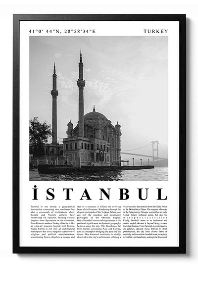 Taranist Poster Istanbul Poster Black and White City