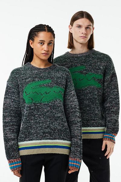 Lacoste Sweater – modisch und bequem