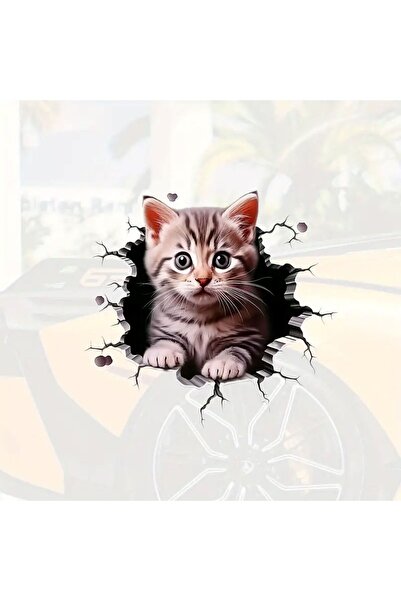 Hobi Dünyası Waterproof Car Decal with 3D Cat Pattern - for Automobile and Mo...