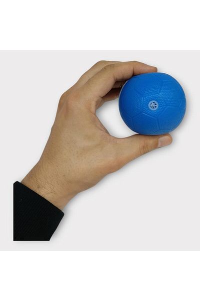 doremodam Dog Toy - Plastic Whistle Ball - Blue (Lisinya)
