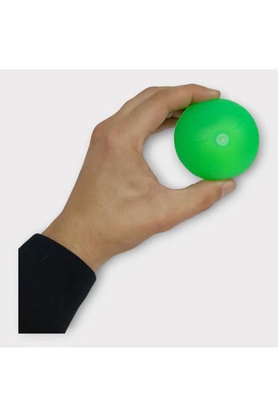 doremodam Dog Toy - Plastic Whistle Ball - Green (Lisinya)