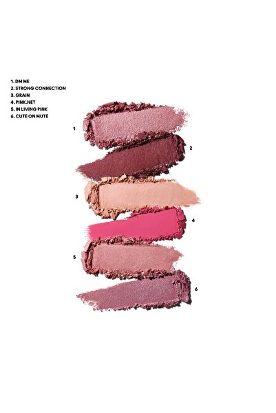 M.A.C Connect In Colour Eye Shadow Palette-rose Lens-6.25 G-773602648665