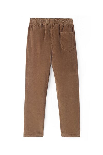 Pine kids Pine Kids Velvet Full Length Solid Trousers - Brown