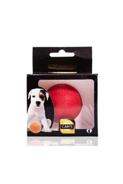 Cans Küçük Boy Köpek Oyun Topu Termoplastik 5cm Pembe&yeşil