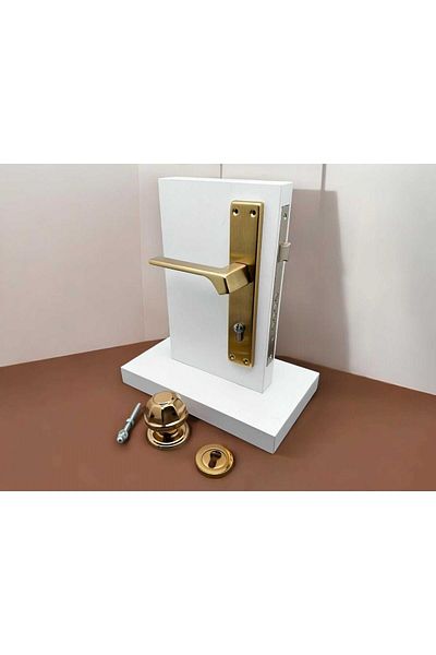 KOLDOOR Zey Matte Gold Steel Door Handle Left Press + Door Knob Exclude Lock