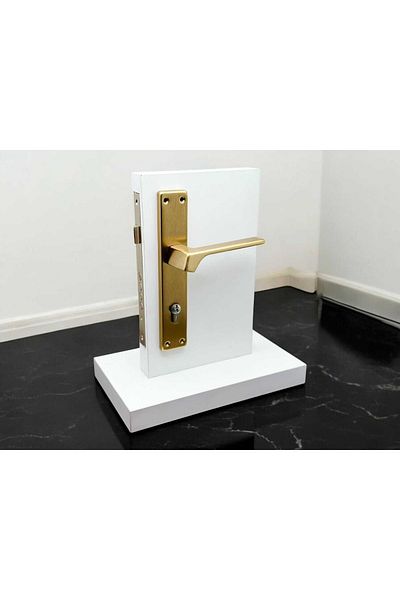 KOLDOOR Zey Matte Gold Square Mirrored Steel Door Handle Right Press One Side Excluded Lock