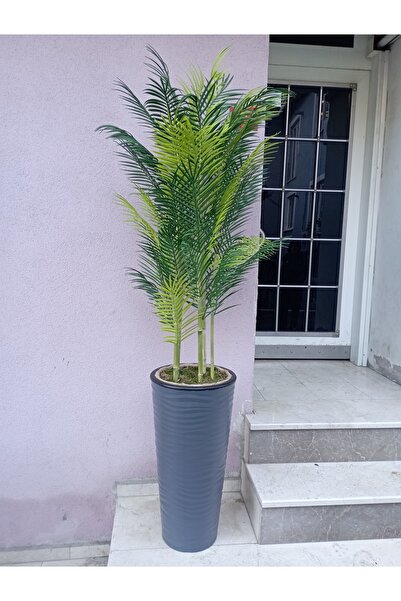 Cennet Home Areka ağacı 180 cm 5 bambu gövdeli 45 yapraklı dolgun yapay ağaç antrasit kumsal vazoda