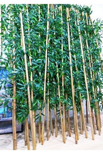 BotanikBahçem Yapay Bambu Ağaç Çubukları 200 Cm Boy 10 Adet Gövdeli Bambu Ağaç