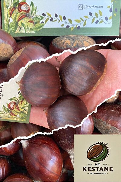 OrganikYemiş İzmir Kemer Duble Boy İri Şekerci Kestane (1 KG)