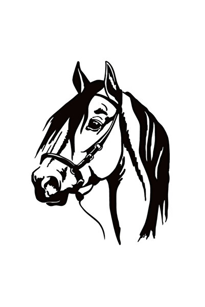 TSC ملصق حصان أسود اللون ملصق سيارة تلقائي مقاس 23 سم