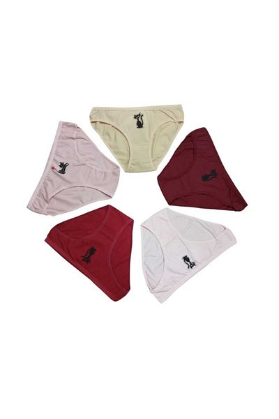 MODY 5 Pieces Cat Figured Licra Panty