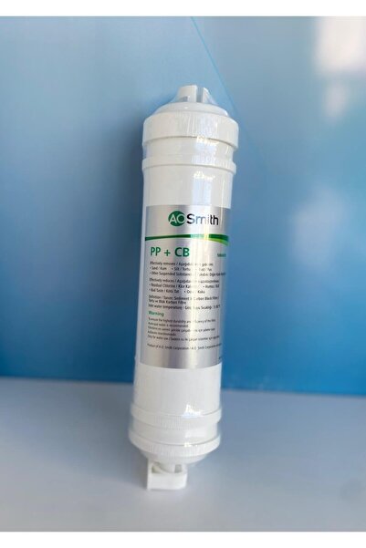 A.O. Smith Aosmıth Daısy Filtre