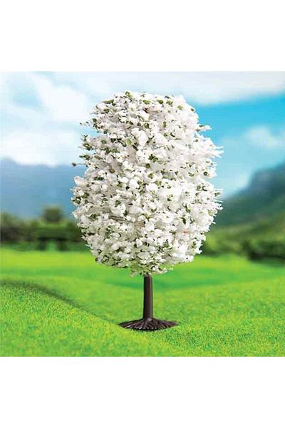 Jordania Eshel Model White Mountain Pine--4.5 Cm--3 Pieces