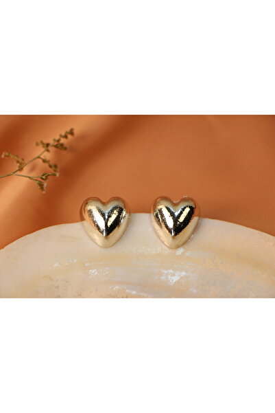 BoJo Kalp Gümüş Silver Renk Küpe