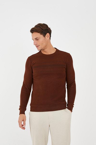 Maccali Men's Thick Winter Solid Long Sleeve Basic Brown Sweatshirt