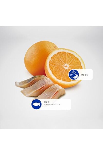 N&D Ocean Köpek Ringa Balığı & Portakal Yetişkin Mini 2.5 Kg