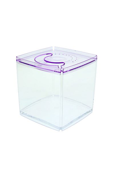 Ista Purple Square Tank Style Display Case