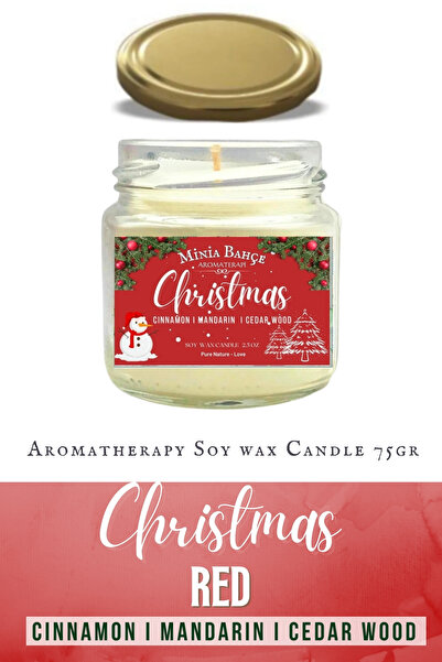 Aromatherapy Soy Wax, New Year Soy Wax 101 (chirstmas) , 75gr