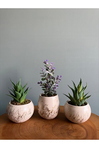odka Yapay Bitkili 3lü Saksı Seti Ekru Gold Mermer Desenli