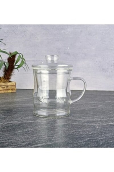 NOVAFACE STD Cam Kapaklı Demleme Süzgeçli Isıya Dayanıklı Kupa 350 ml Klasik