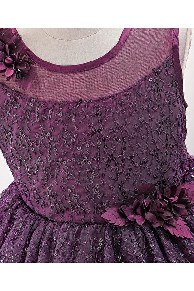 Babyhug Babyhug Sleeveless Sequinned & Floral Applique Party Frock - Aubergine