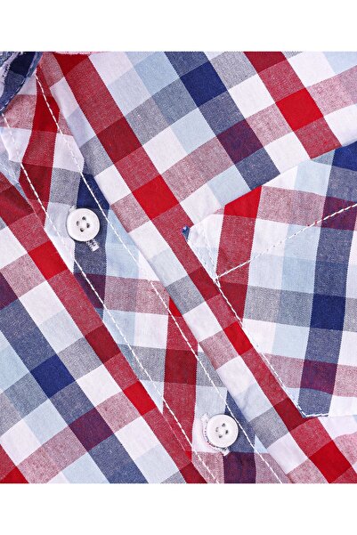 Babyhug Babyhug Cotton Woven Full Sleeves Checks Shirt- Multicolor