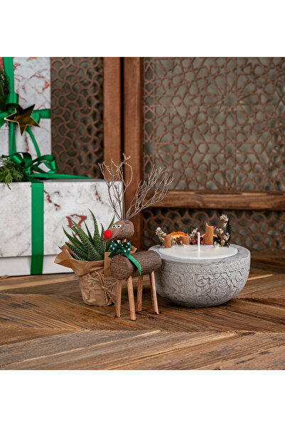 Sakura Candle Co Ahşap Geyik Adam, Mum ve Haworthia Bitki Hediye Seti