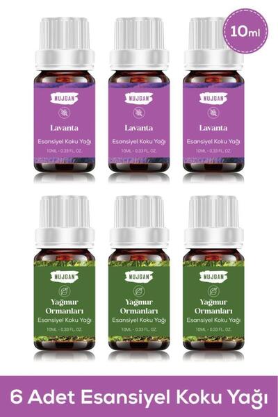 MUJGAN Esansiyel Koku Yağı Seti - Lavanta ve Yağmur Ormanları (6'lı Paket)