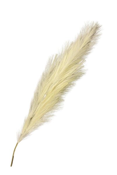 Lara Decor Sarı Pampas Tüy