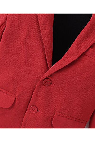 Babyhug Babyhug Full Sleeves Party Wear Blazer Solid Colour - Red