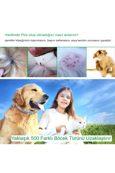 hayhall Pire Tasması Doğal Içerikli Bit Parazit Pire Tasması 63 Cm Yetişkin