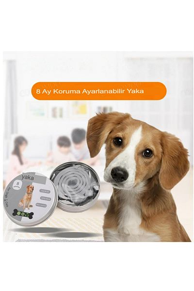 hayhall 63 cm Adult Natural Ingredient Lice Parasite Flea Collar