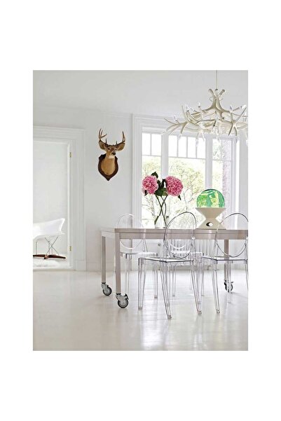 Homelux Transparent Glass Design Chair, Polycarbonate