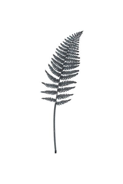 Homelux Ramura decorativa cu frunze 80 cm, decor cu sclipici, metal/polipropilena, albastru