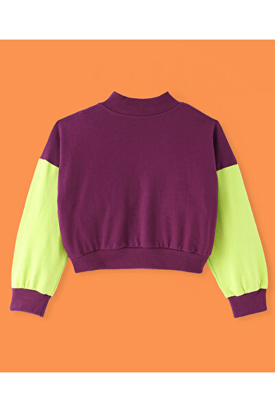 Ollington St. Ollington St. Cotton Knit Full Sleeve Color-Blocked Zipper SweatShirt& Joggers Set-Wine& Lime Green