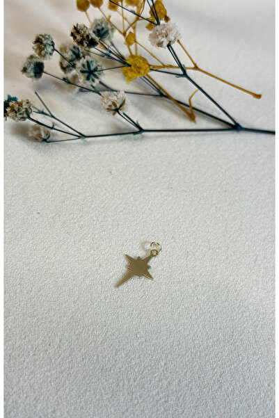 DİAMİNE PIRLANTA 14 Ayar Altın Mini Kutup Yıldızı Kolye ucu