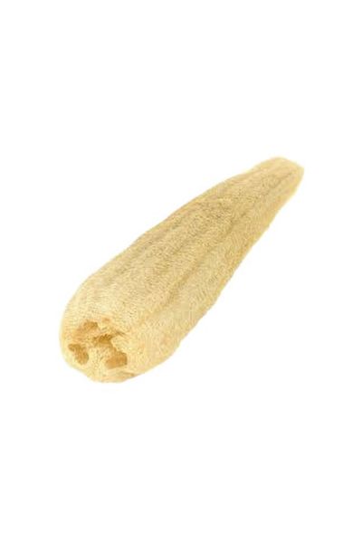 KARAKIZ White Jumbo Size Raw Pumpkin Fiber - 1 Piece