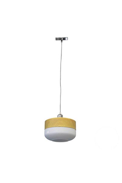 Homelux Metal/glass Woode Pendulum, 25x17 Cm, 1xe27, 60 W - Wh-1038