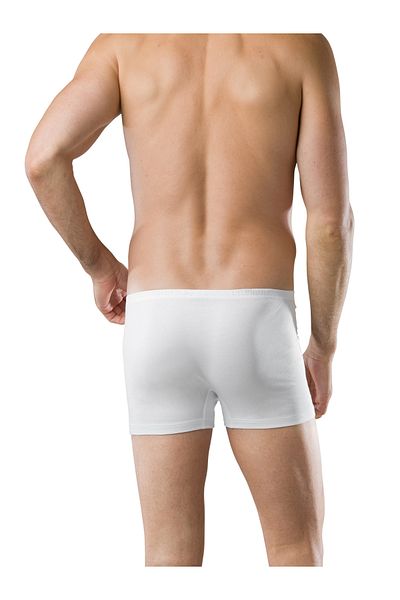 Schiesser Retroshorts Temelleri