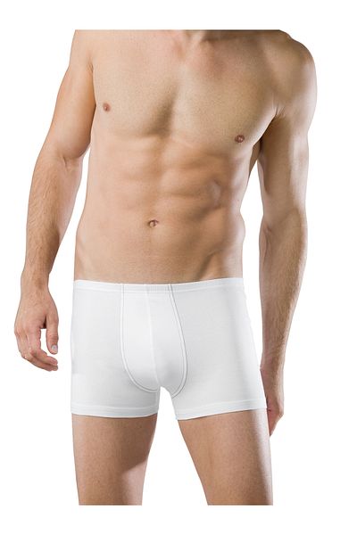 Schiesser Retroshorts Temelleri