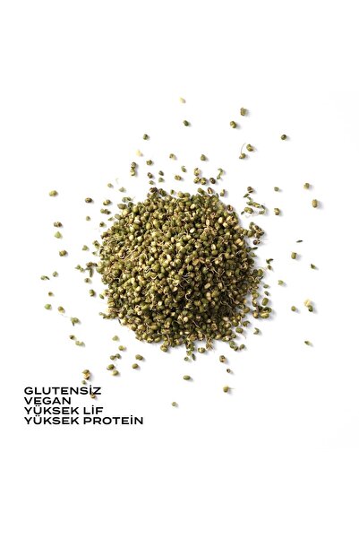 THE GOOD WİLD Glütensiz Filizlendirilmiş Maş Fasulyesi 175 G