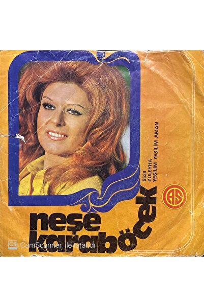 Plak İstasyonu Neşe Karaböcek Züleyha 45lik plak