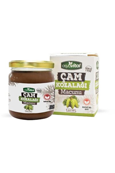 asyavital Çam Kozalağı Macunu 240 gr